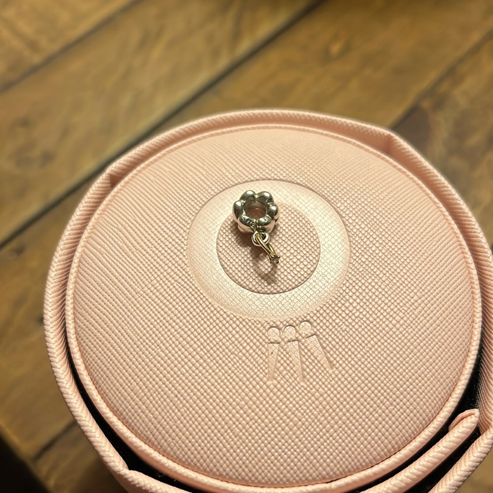 Pandora engagement ring charm